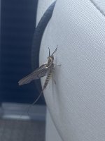 IMG_5484.jpeg