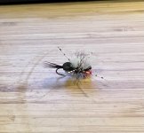 IMG_4310.jpeg