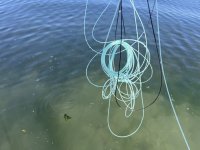 IMG_2837.jpeg