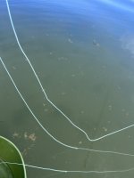 IMG_2841.jpeg