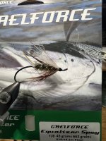 IMG_6184.jpeg