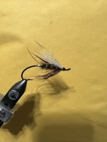 IMG_6185.jpeg