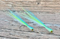 IMG_1380.jpeg