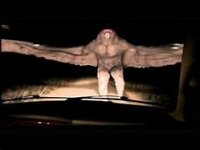 moth man.jpg