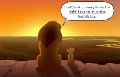 transphobia light.jpg