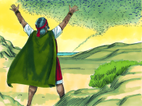 image-15.png