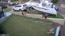 2wow1l.gif