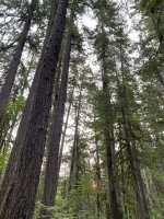 IMG_2216.jpeg
