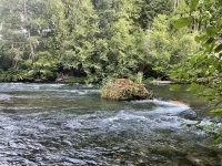 IMG_2213.jpeg