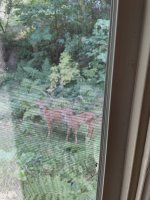 IMG_2218.jpeg