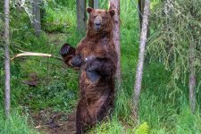 IMG_2294.jpeg