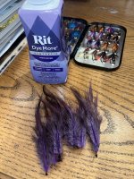 IMG_6190.jpeg IMG_6190.jpeg