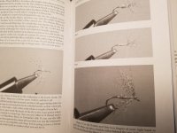 20230724_191208.jpg