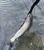 IMG_4300.jpeg