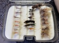 20230725_flies.jpg 20230725_flies.jpg