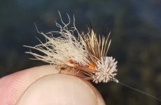 20230725_asmuddler.jpg 20230725_asmuddler.jpg