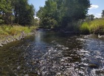 20230725_stream.jpg 20230725_stream.jpg