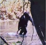 IMG_4232.jpeg