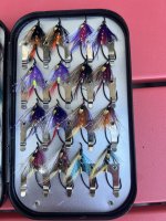 IMG_6200.jpeg