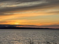IMG_4246.jpeg
