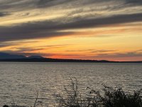 IMG_4248.jpeg