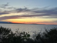 IMG_4249.jpeg
