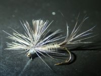 A05CallibaetisParachute7240005.jpg A05CallibaetisParachute7240005.jpg