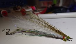 IMG_20230727_213628390.jpg