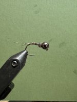 IMG_2712.jpeg
