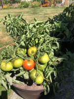 IMG_7166.jpeg
