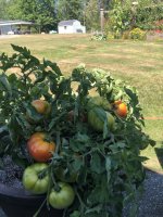 IMG_7165.jpeg