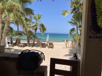 IMG_4507.jpeg