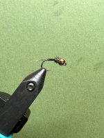 IMG_2718.jpeg