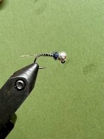IMG_2721.jpeg IMG_2721.jpeg
