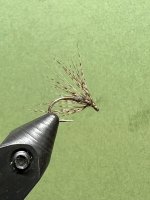 IMG_2731.jpeg