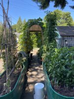 IMG_3678.jpeg