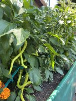 IMG_3679.jpeg