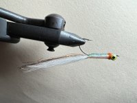 IMG_4289.jpeg IMG_4289.jpeg