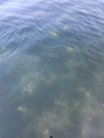 20230731_081917.jpg