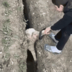 GIF-230802_184341.gif