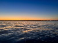 IMG_2928.jpeg