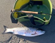 IMG_2927.jpeg
