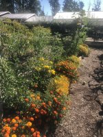 IMG_7189.jpeg