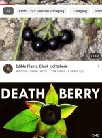 Screenshot_20230803_112513_YouTube.jpg Screenshot_20230803_112513_YouTube.jpg