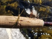 20230803_flies.jpg 20230803_flies.jpg