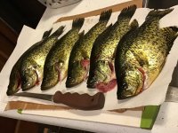 0E2E3712-4DAA-4DBC-BC1B-494FBA755407.jpeg