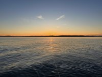IMG_2940.jpeg IMG_2940.jpeg