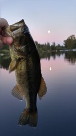 20160914_193049_HDR.jpg