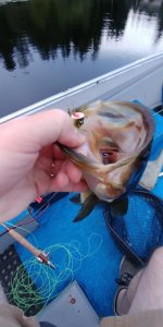 20170812_200847.jpg