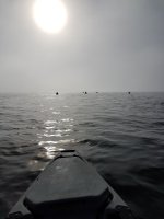 20190726_080917.jpg